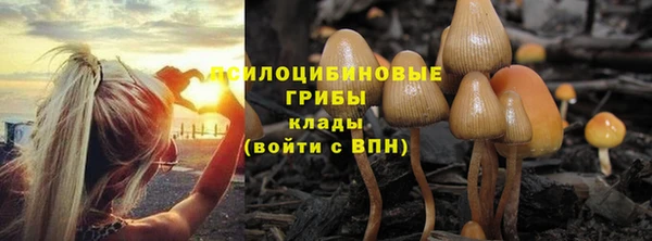 молекула духа Алексин