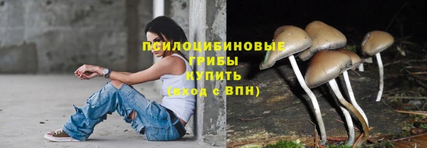 амфетамин Алексеевка