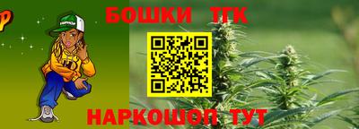 бошки Кингисепп