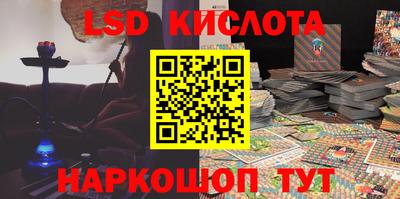 бошки Кингисепп