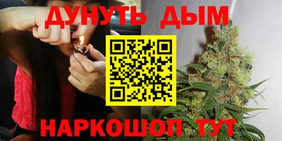 бошки Кингисепп