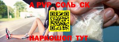 бошки Кингисепп