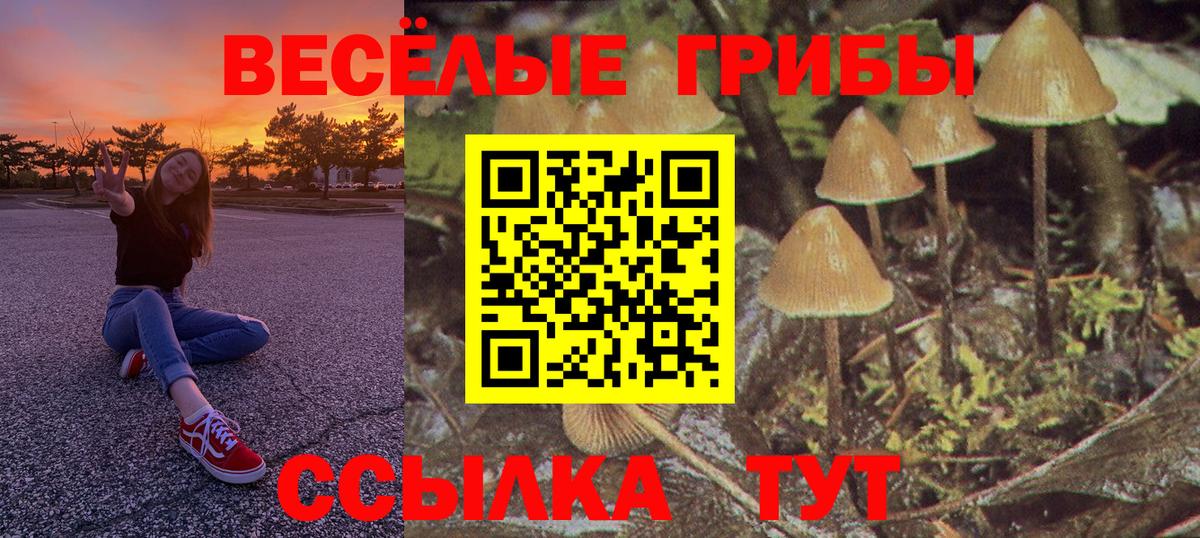 Псилоцибиновые грибы ЛСД Конаково